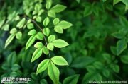 “教輔”變“教腐”利益鏈 癥結(jié)何在？