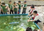 探秘小學(xué)校園后，憧憬在這群幼兒園萌娃心中萌芽