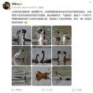 “李現(xiàn)拍鳥”成公務(wù)員省考面試題