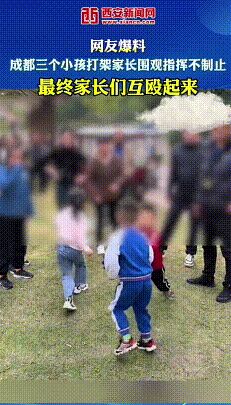 3娃打鬧家長先“參戰(zhàn)”指揮后互毆 矛盾升級驚動110